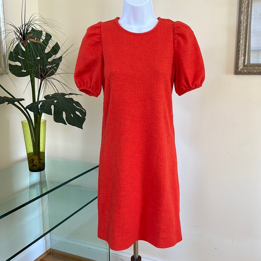 Zara Red Dress